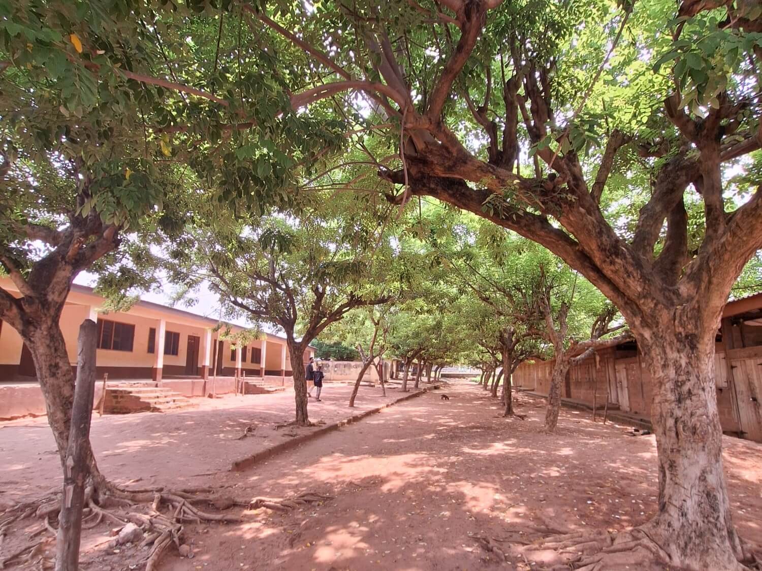 Edukado