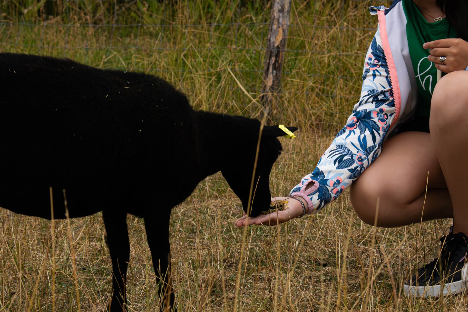 La Contrée des Minis : Un havre de biodiversité en Moselle | What The Web