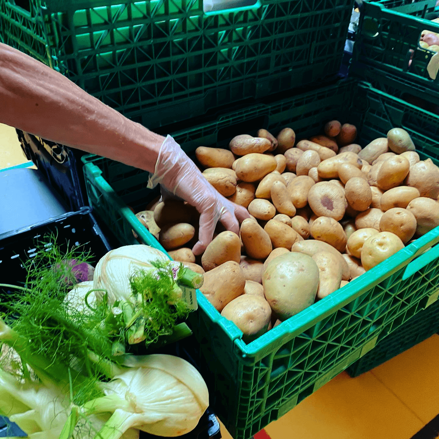 Manutention de produits frais à Solid'action, épicerie solidaire à Savigny-le-Temple (77) | CESS-IDF - Collectif Epiceries IDF