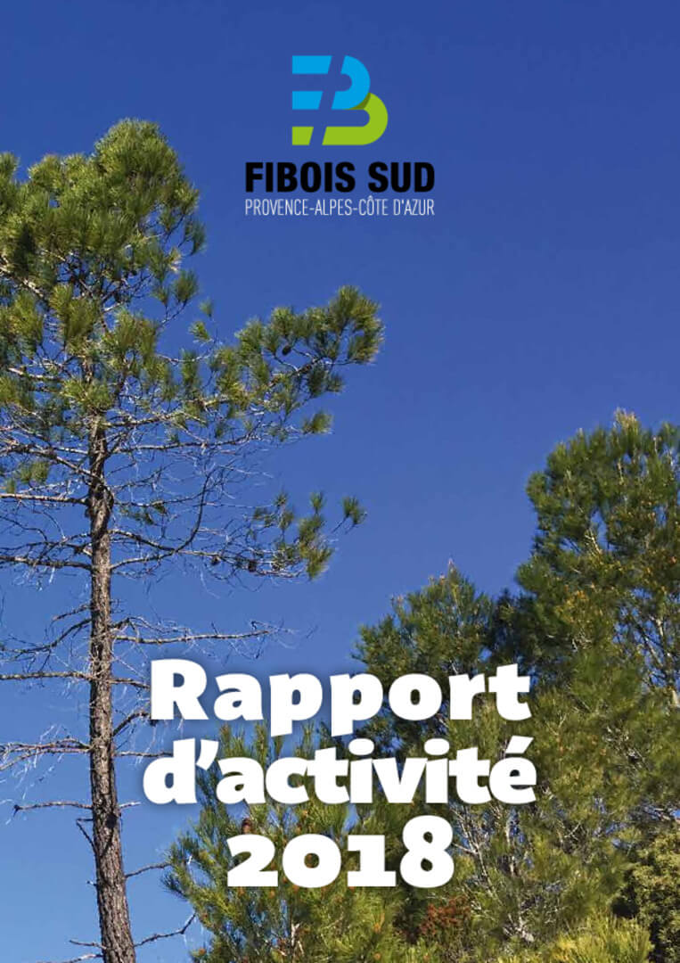 Rapport d'activité 2018 | Fibois Sud