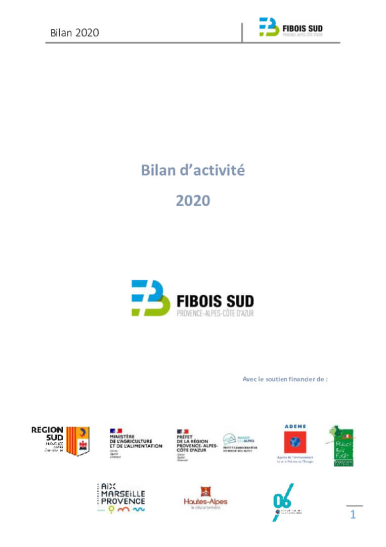 Rapport d'activité 2020 | Fibois Sud