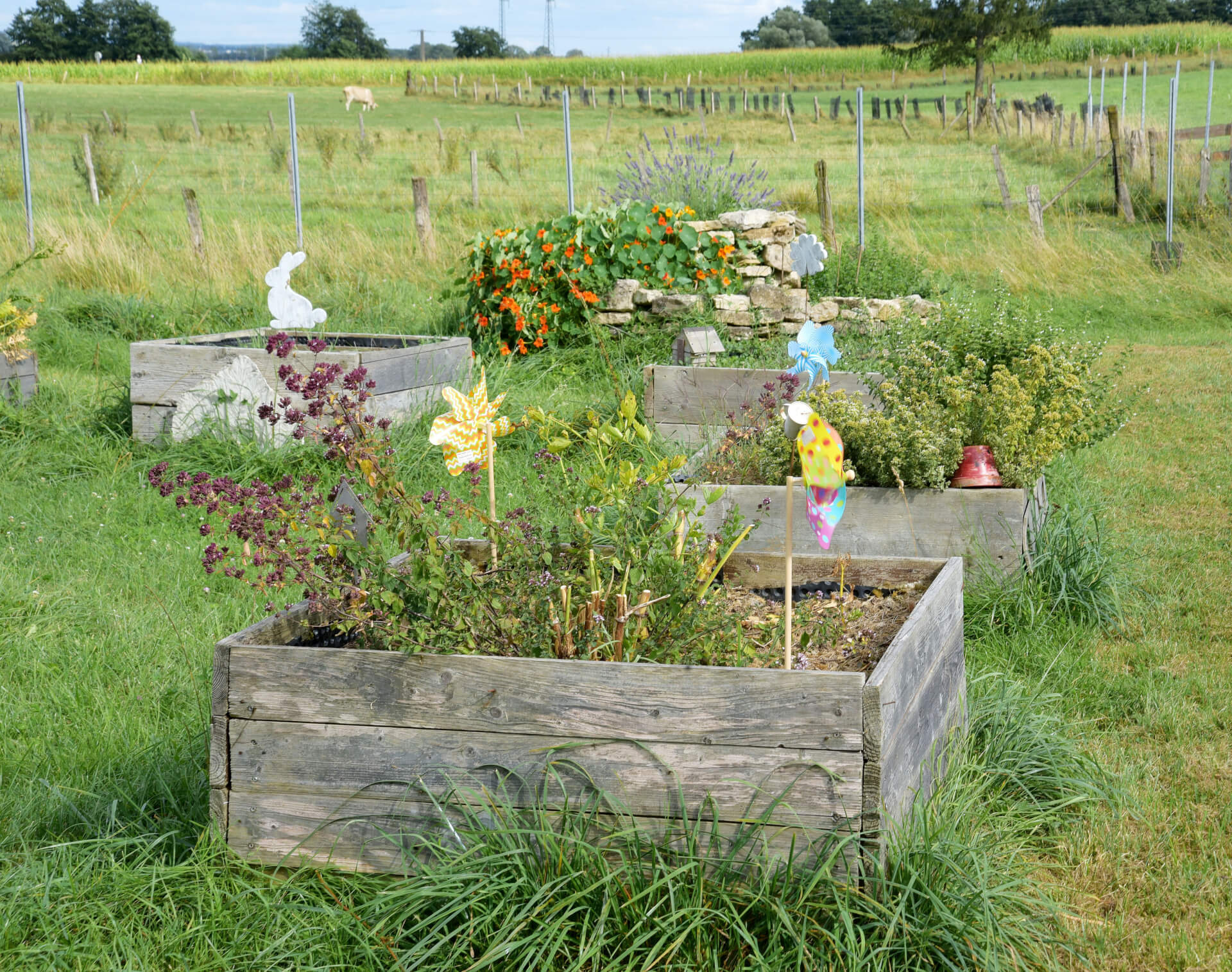 La contrée des minis