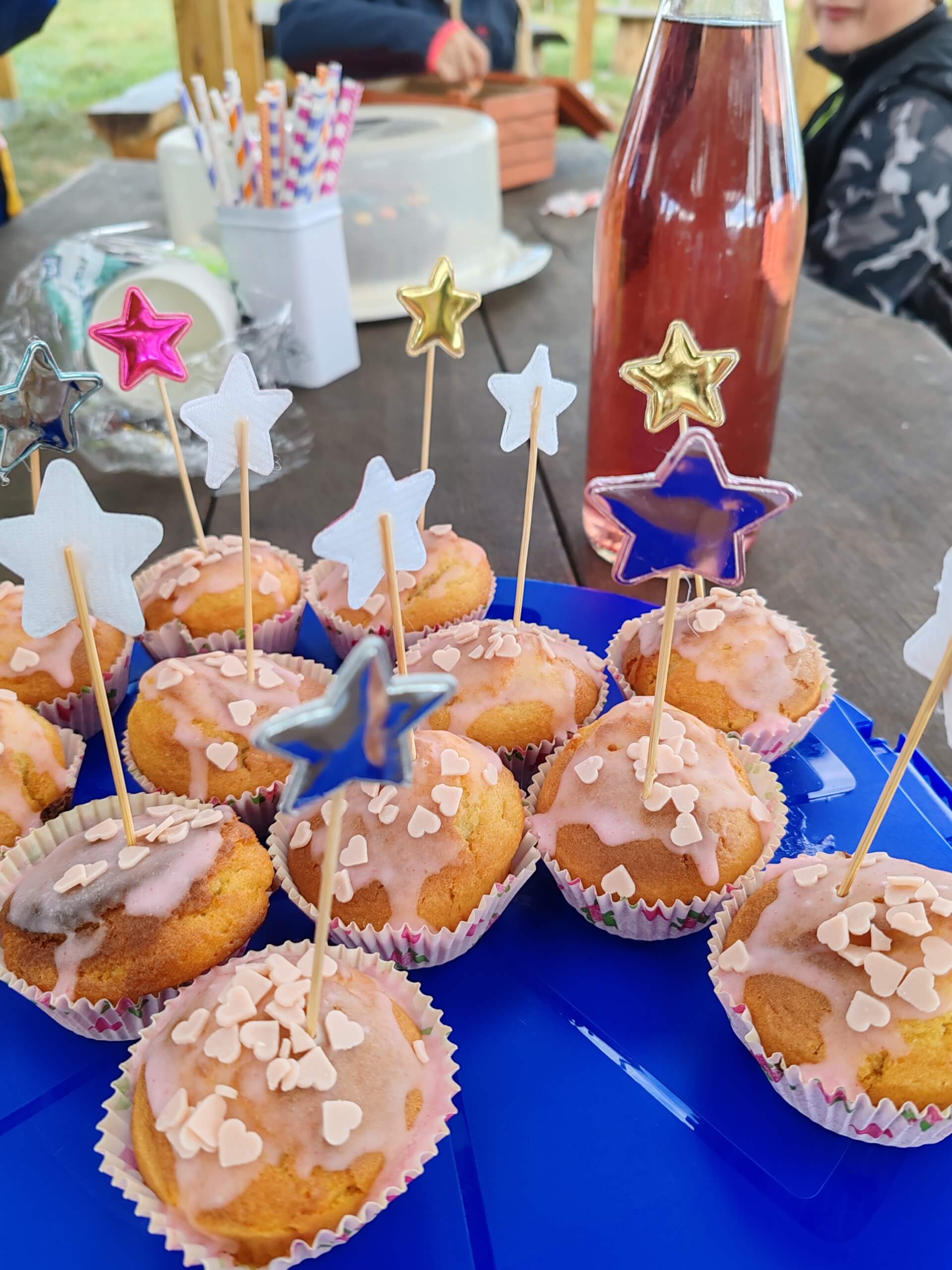 La contrée des minis