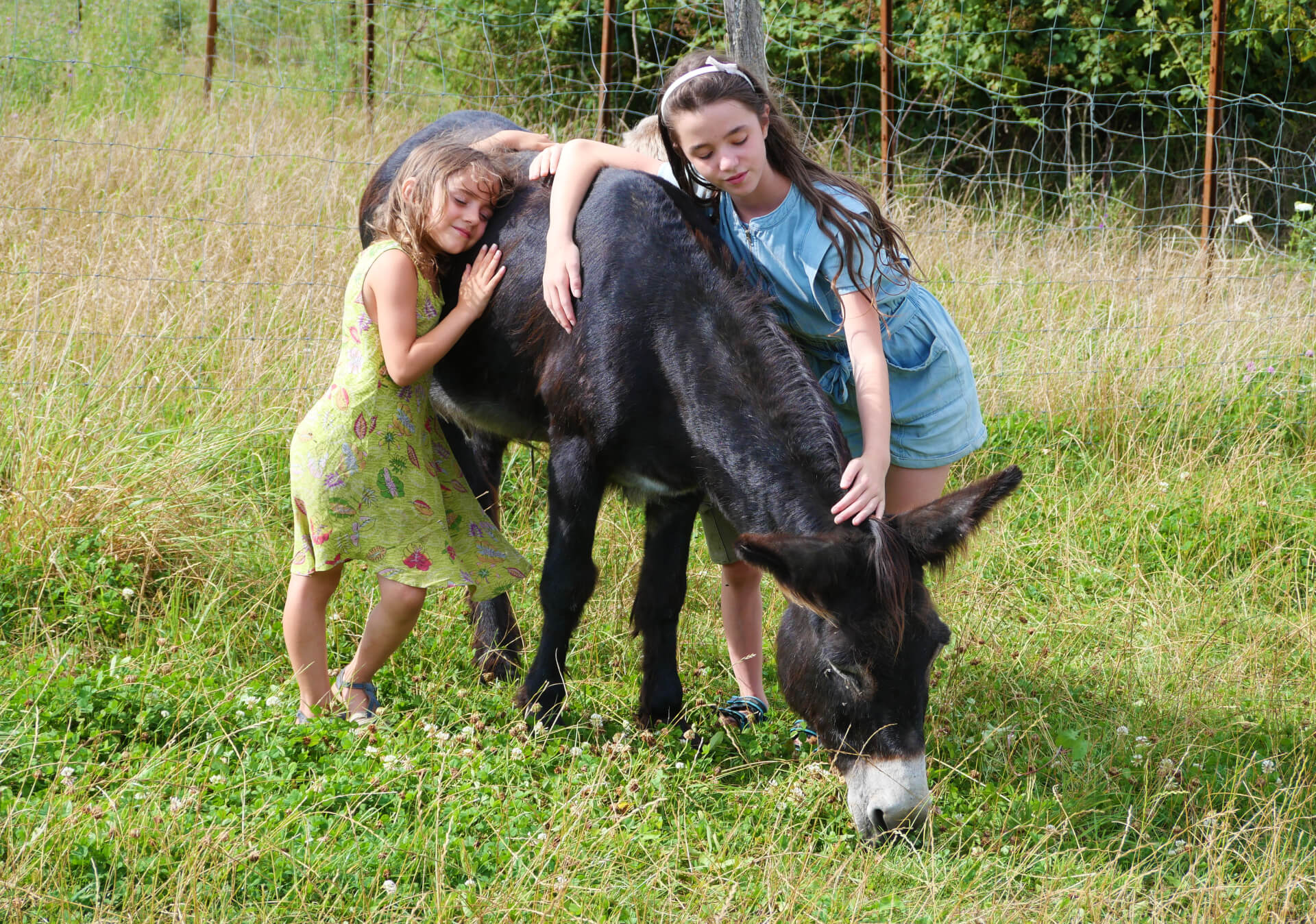 La contrée des minis