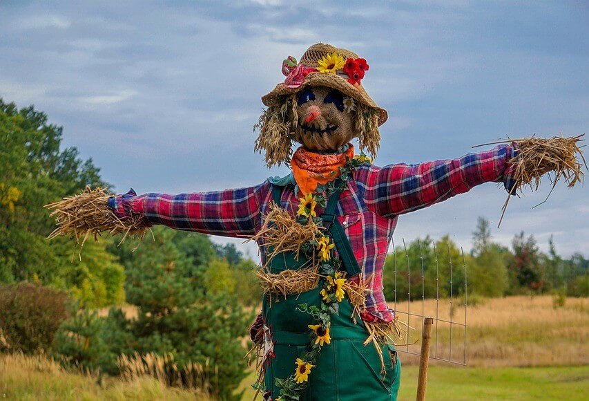 CONCOURS D'EPOUVANTAILS | La contrée des minis