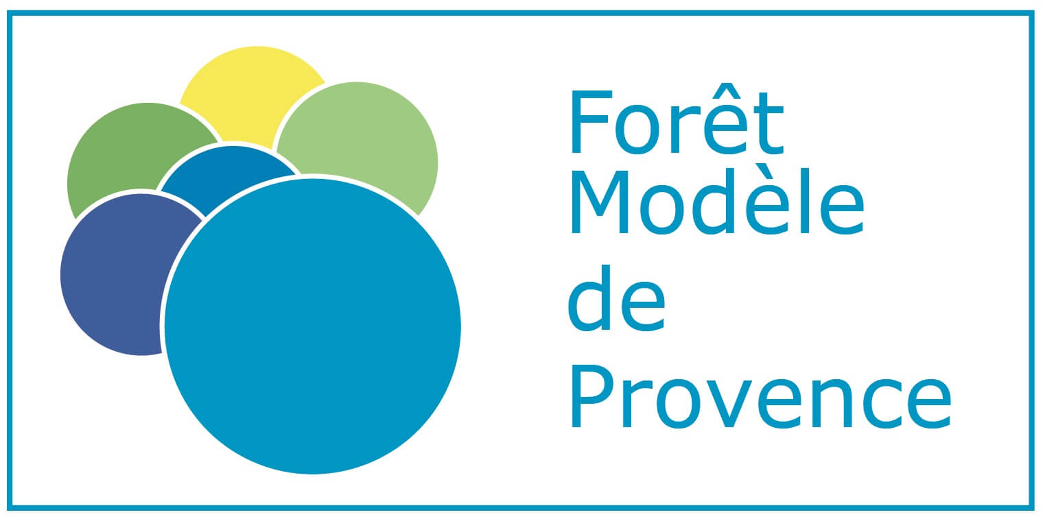 Forêt Modèle | Fibois Sud