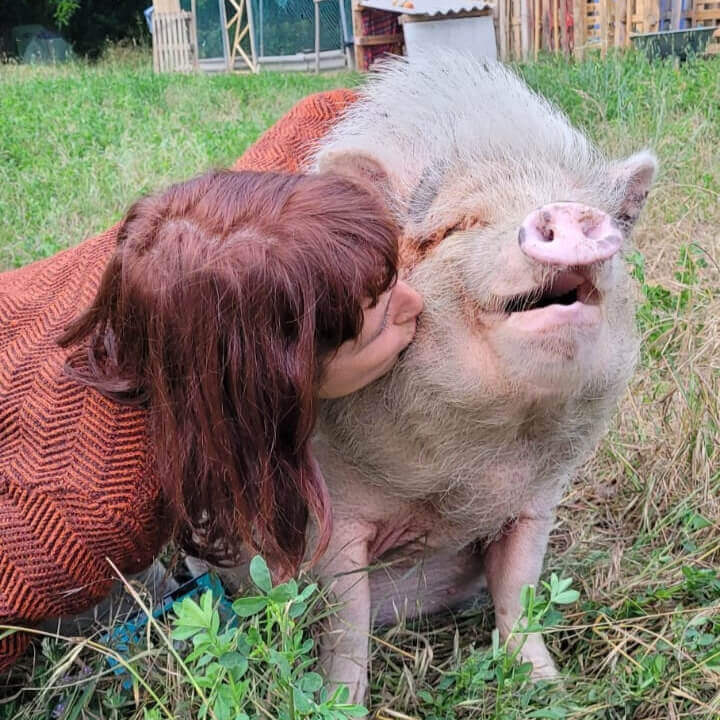 Cumbia | La Ferme thérapeutique La Consoude