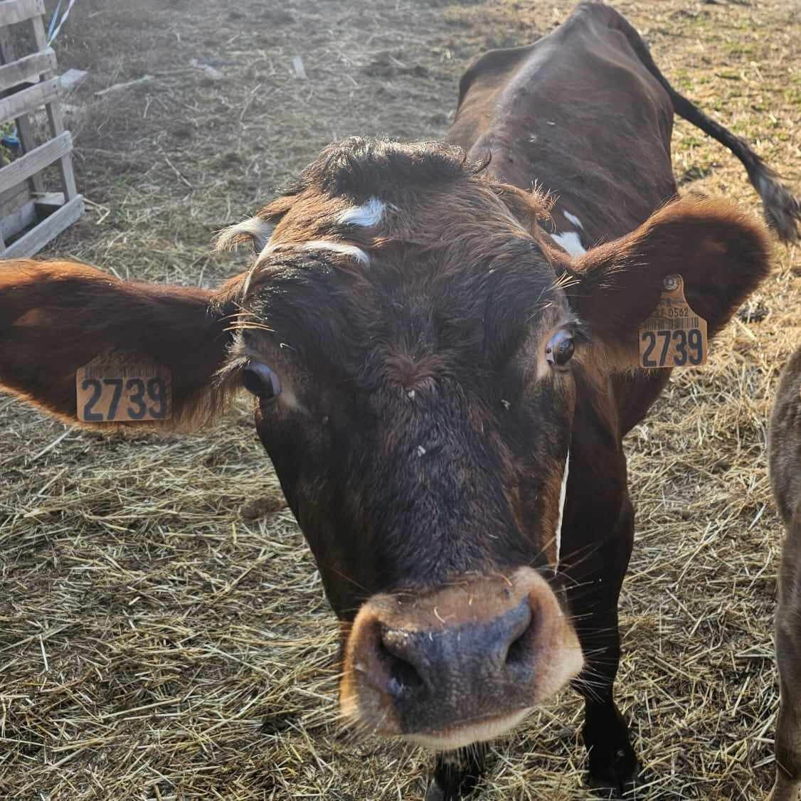 Martin | La Ferme thérapeutique La Consoude