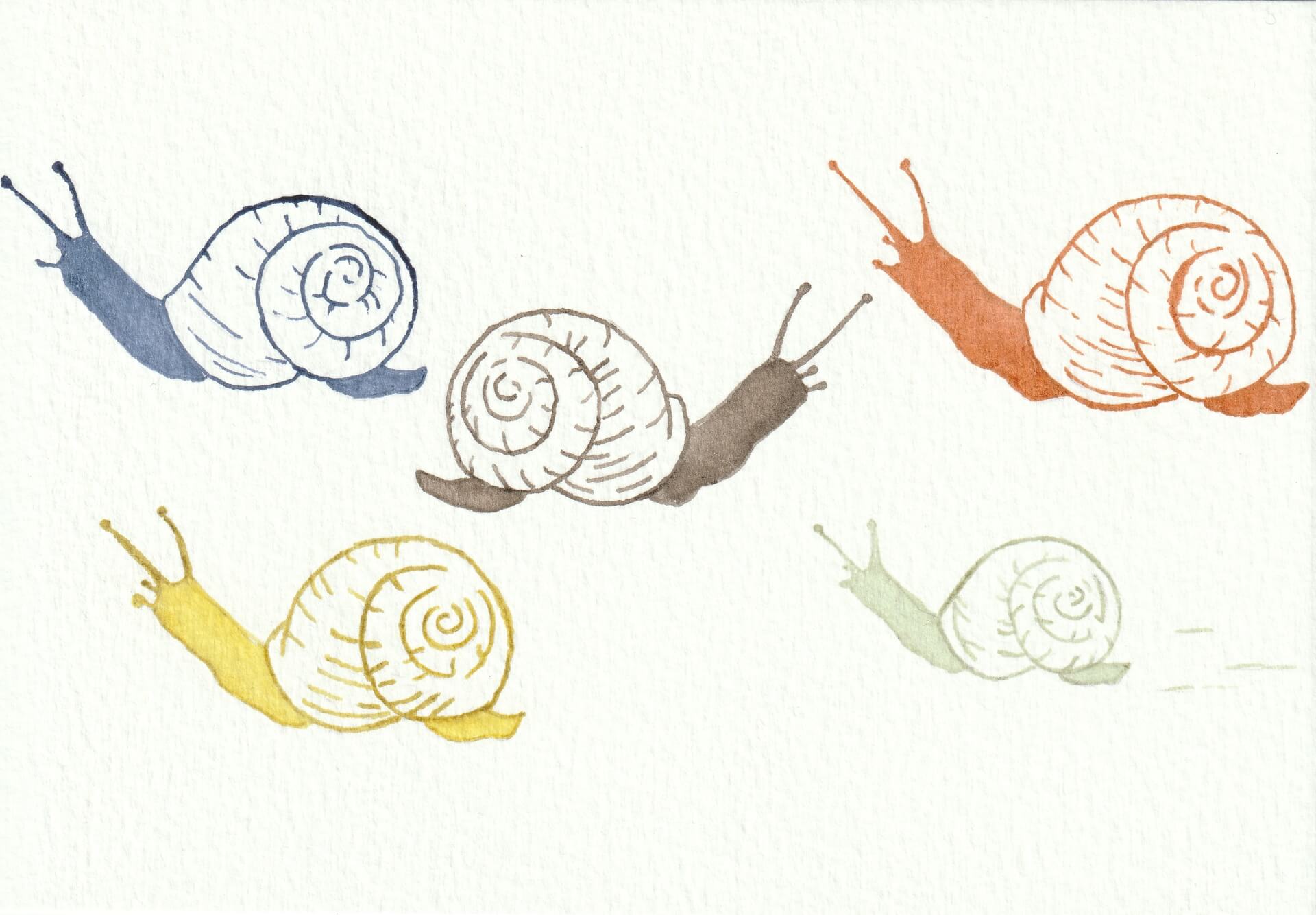 Escargots lympiques | christophe-henry