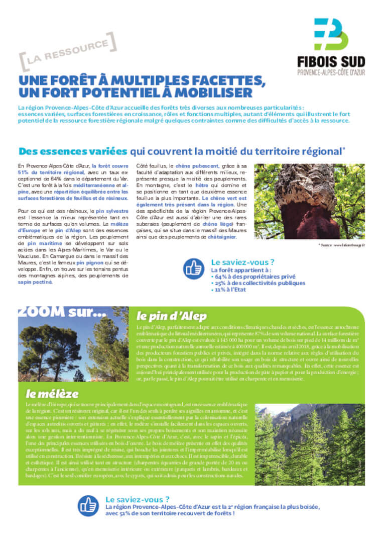 Panorama de la filière forêt bois | Fibois Sud