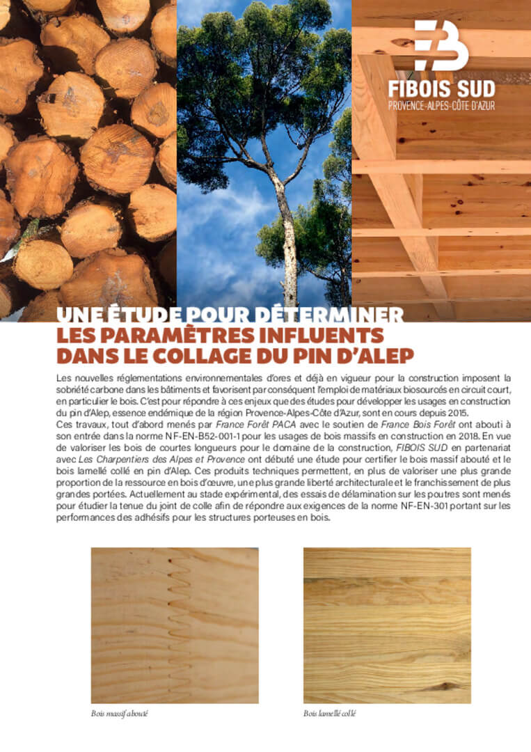 Etude du collage du Pin d’Alep | Fibois Sud