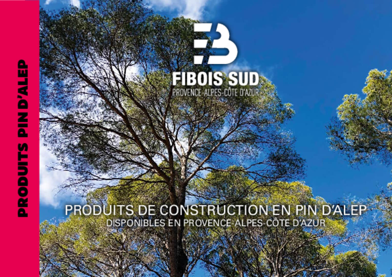 Produits Pin d’Alep | Fibois Sud