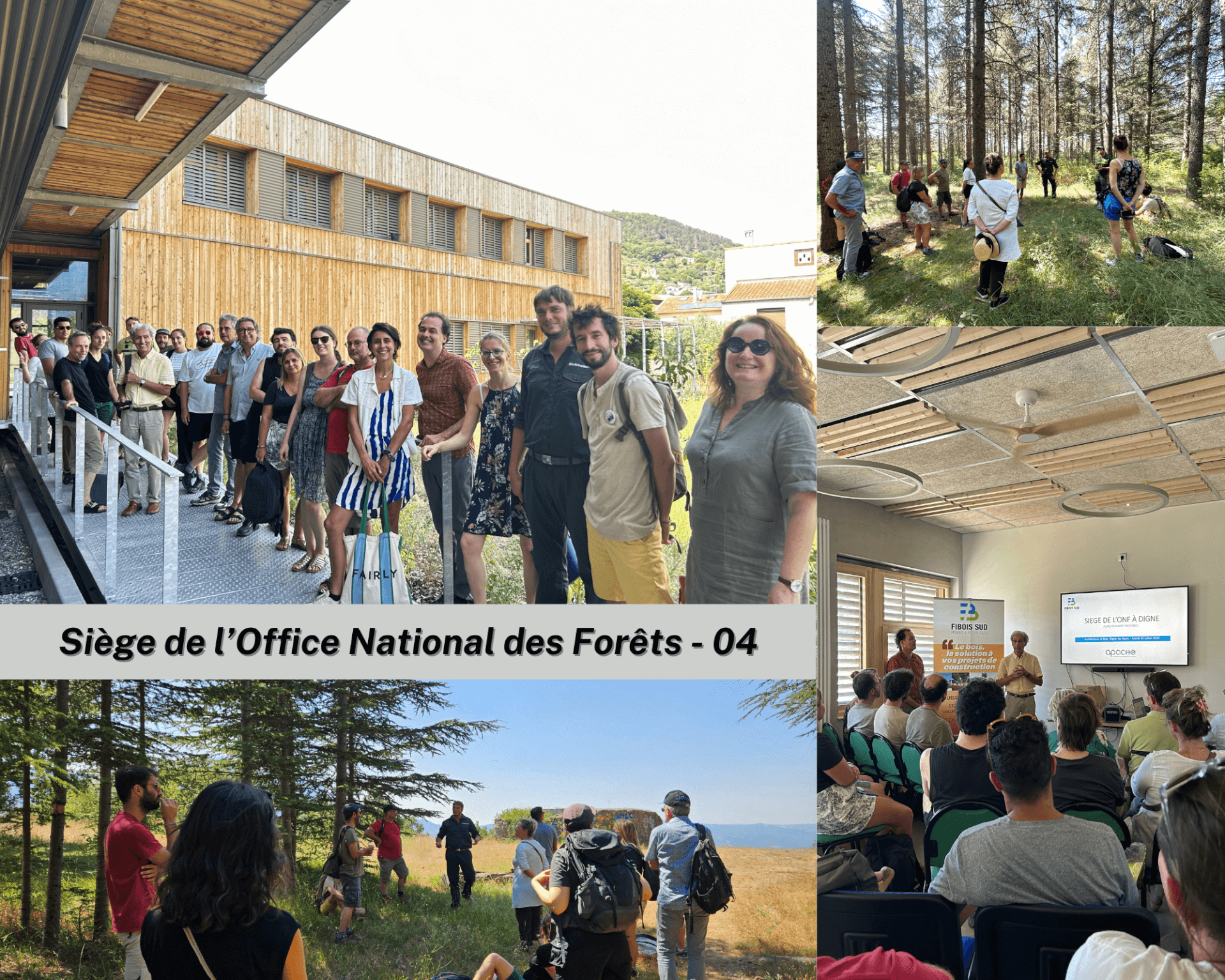 Visite Architecture & Bois : Siège de l'Office National des Forêts - 04 | Fibois Sud