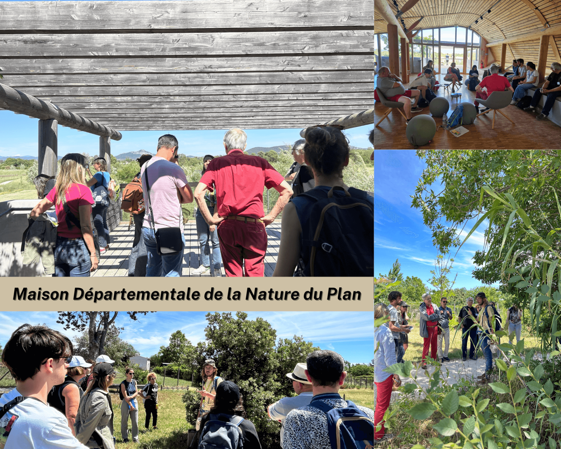 Visite Architecture & Bois : La Maison Départementale de la Nature du Plan - La Garde | Fibois Sud