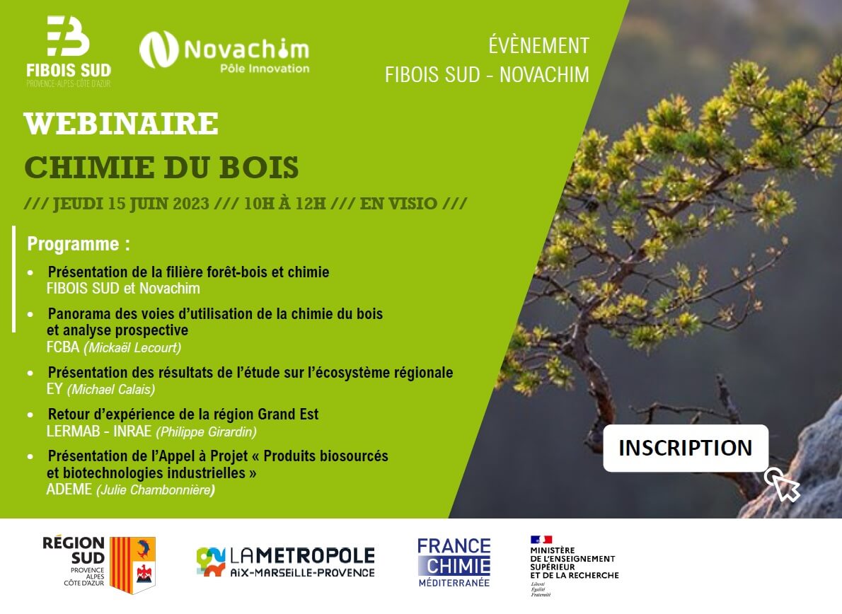 Webinaire chimie du bois - visioconférence 15 juin 2023 | Fibois Sud