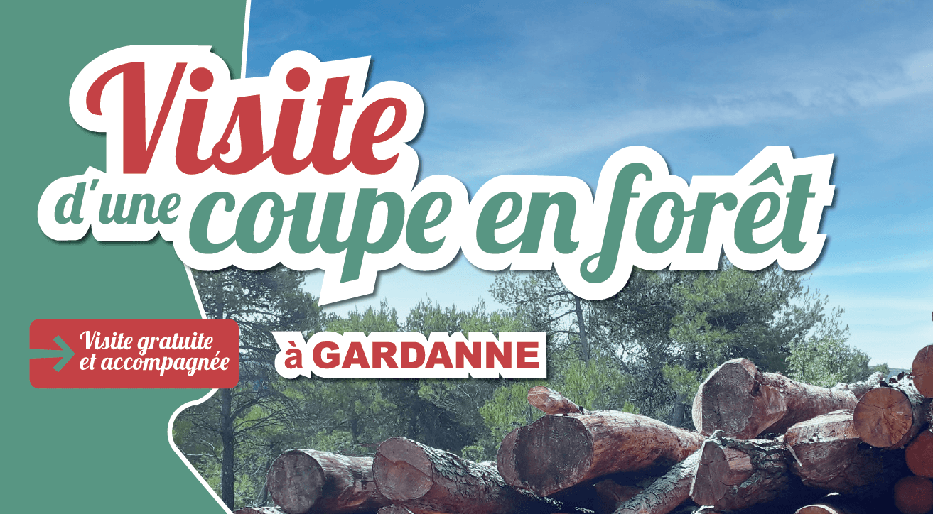 Visite d'une coupe forestière à Gardanne- 22 février | Fibois Sud