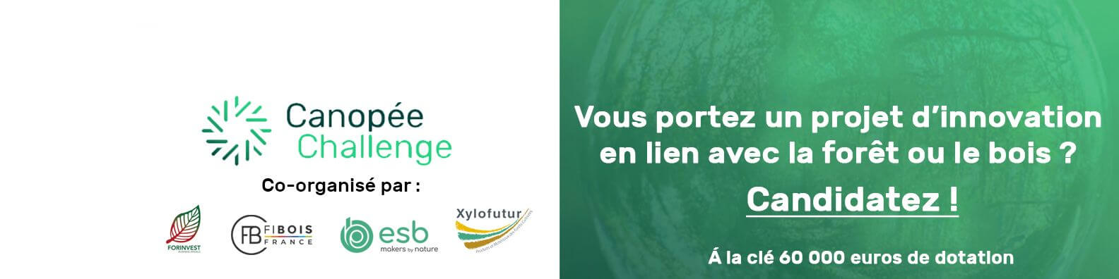 Canopée Challenge: concours innovation filière forêt-bois | Fibois Sud