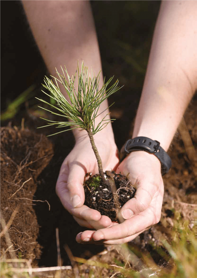 RESPIR: la signature durable de votre entreprise | Fibois Sud