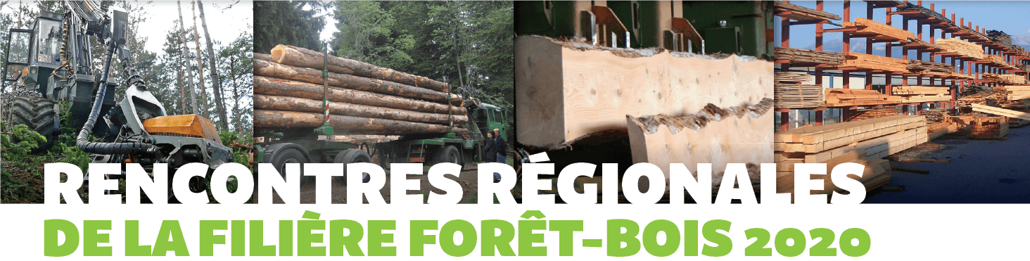 3ème Rencontres Régionales de la filière Forêt-Bois, le 09 décembre 2020 en visioconférence | Fibois Sud