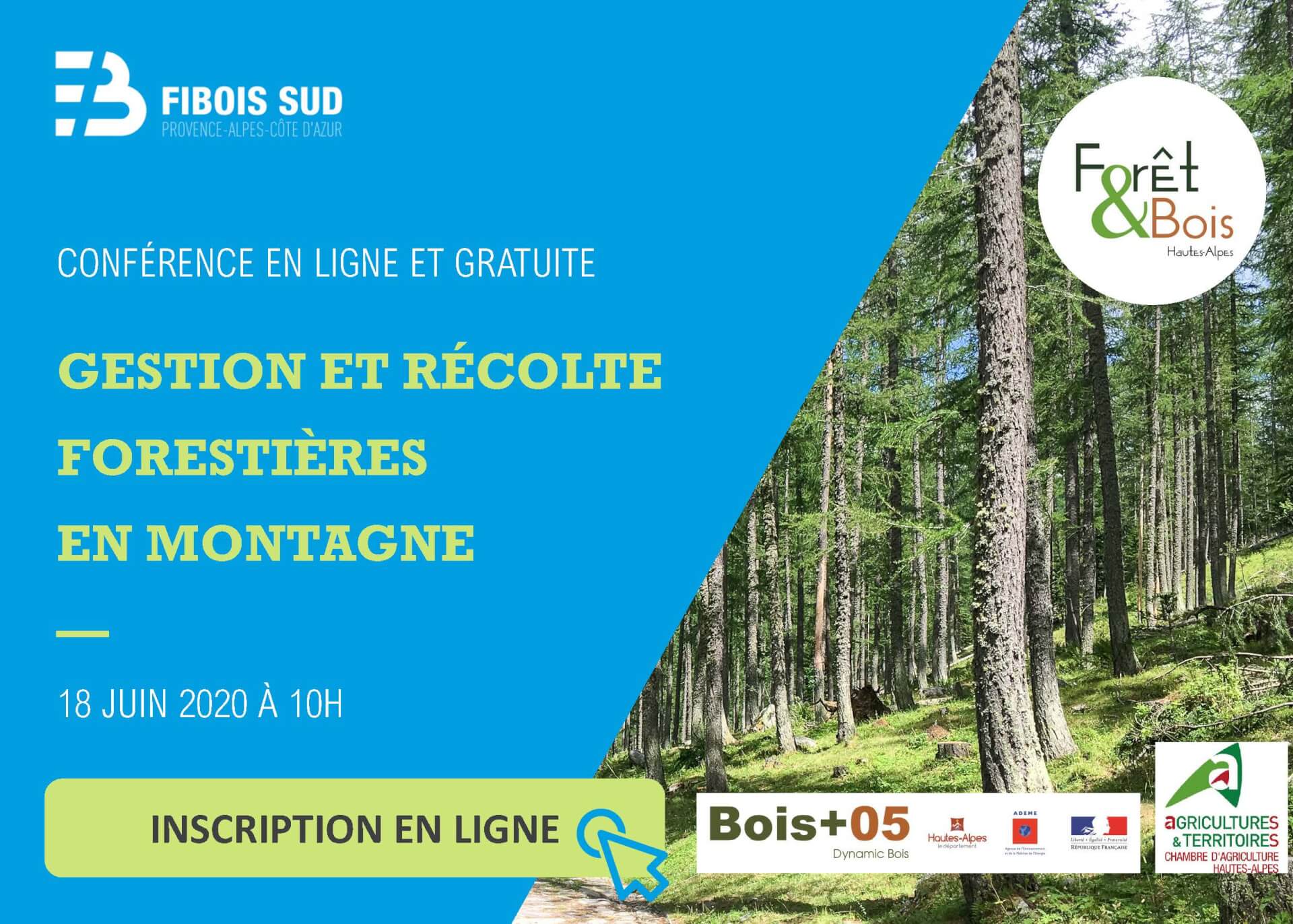 Webconférence: gestion et récolte forestière en montagne: jeudi 18 juin 10h00-11h30 | Fibois Sud