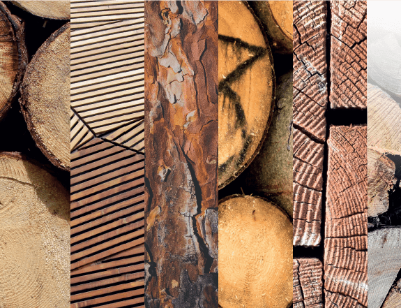 Formation durabilité des bois | Fibois Sud