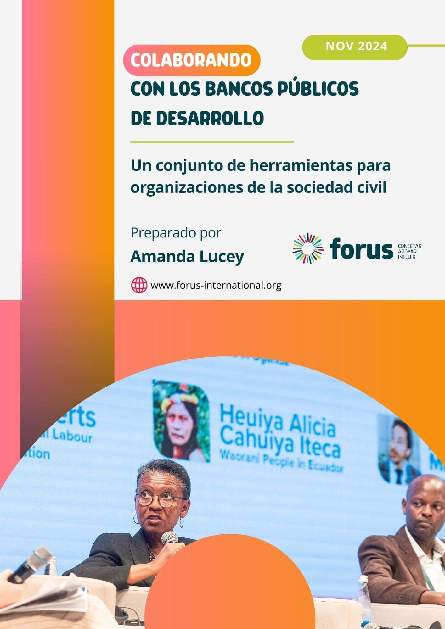 Engaging Public Development Banks - A toolkit for civil society organisations | Forus