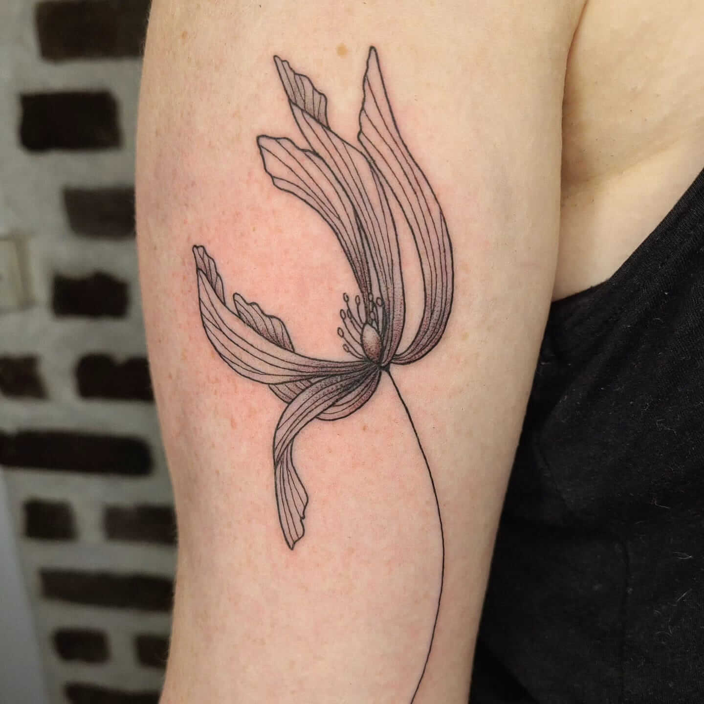 Tatouage - fleur | Canaille Illustration