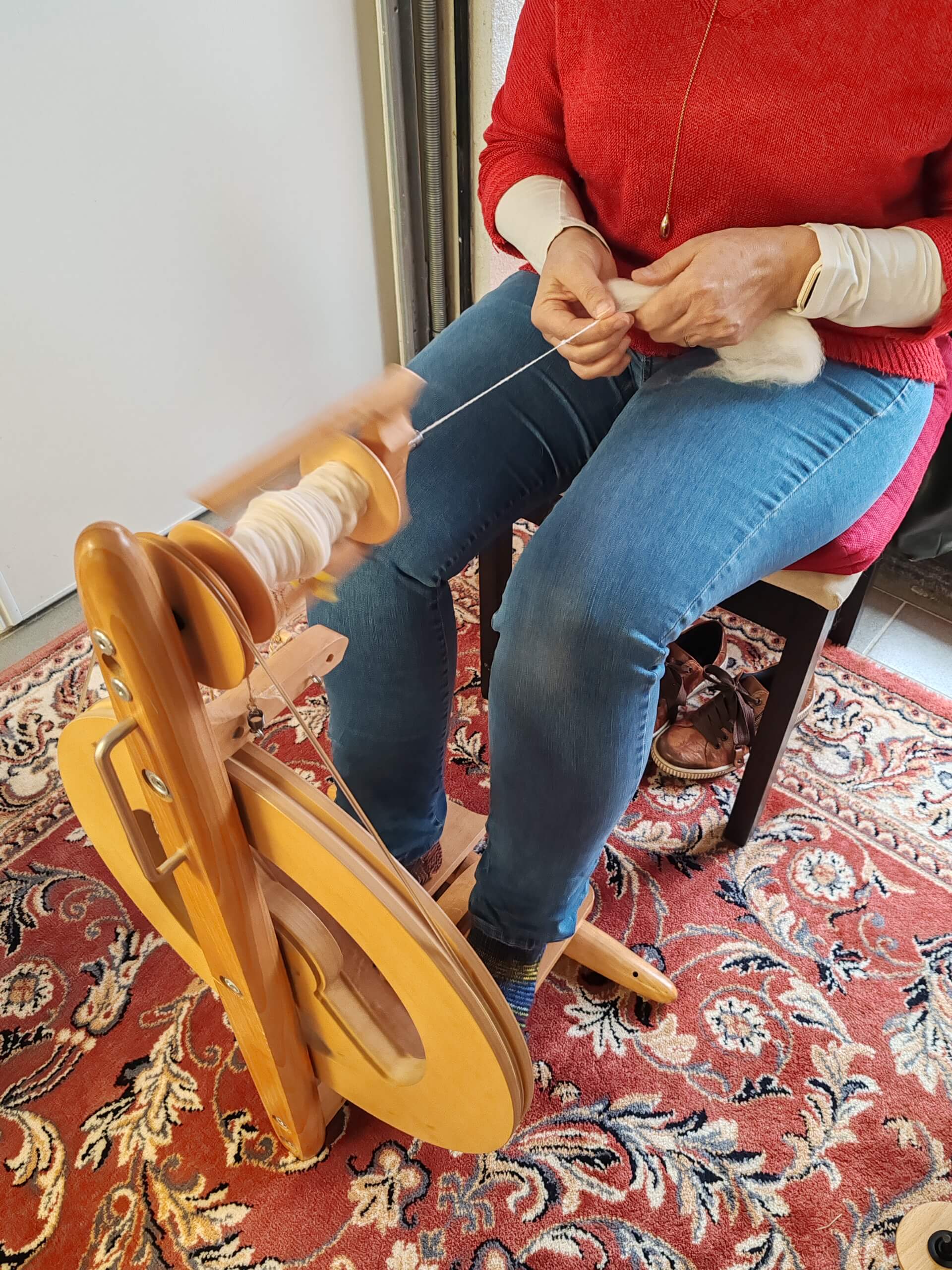 De la toison d’un animal au fil de laine | La contrée des minis