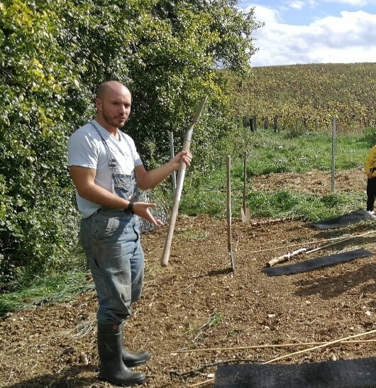 La haie, source de vie | La contrée des minis