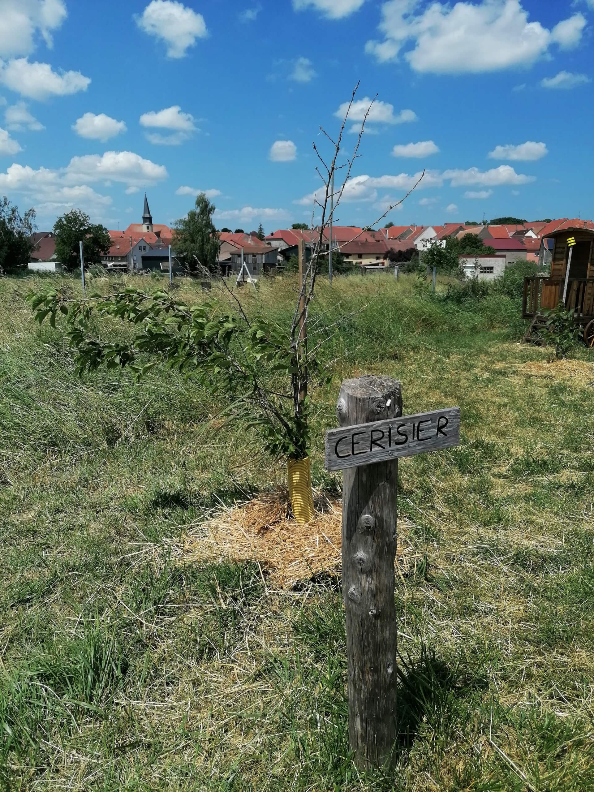 Au verger | La contrée des minis