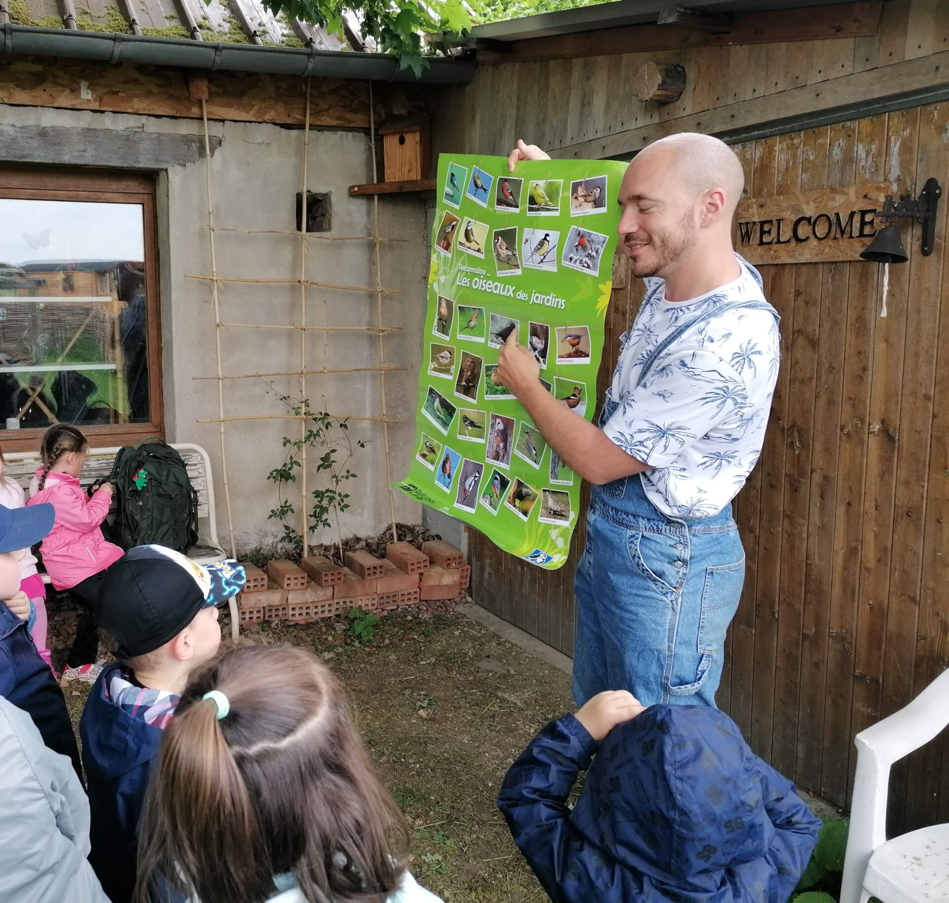 Les oiseaux de nos jardins | La contrée des minis