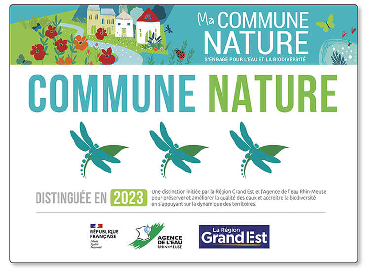 - | La contrée des minis