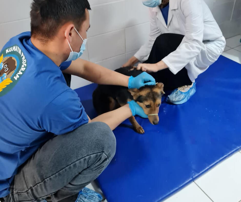 16.09.2022 THE CHALLENGE OF THE FBB - THE ONLY INTERNATIONAL ASSOCIATION TO BE ON THE GROUND IN CENTRAL ASIA - IS COMING TRUE | AFKE