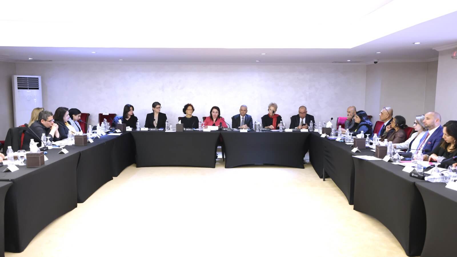 Regional Experts Roundtable - Updating 2024 Regional Index on VAWG ...