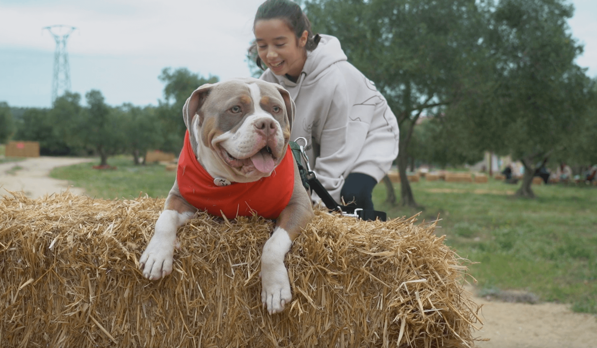 After- event Wine Dogs 2e édition | Vidéact’ En mouvement vidéo