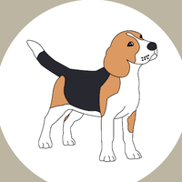 Pension Familiale La Seyne | Ch'amis pour la vie