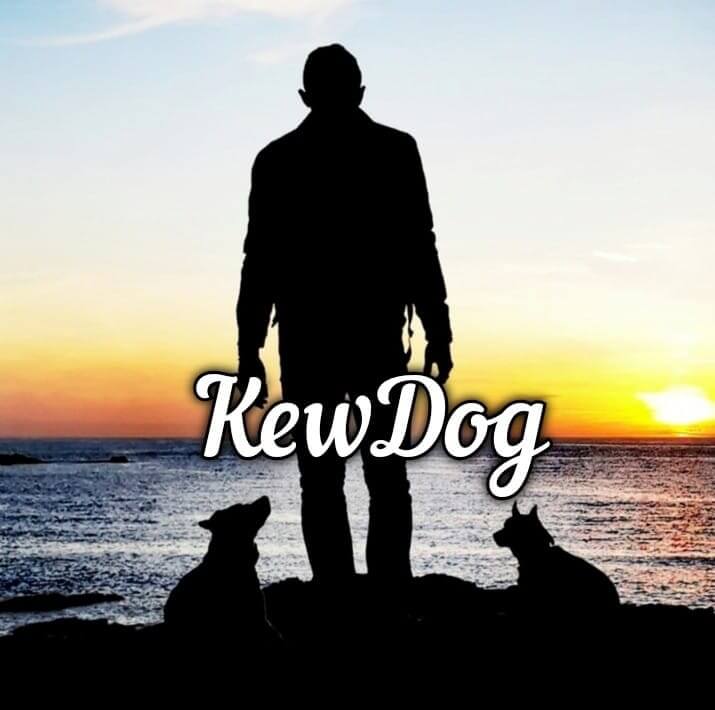KewDog Éducation | Ch'amis pour la vie
