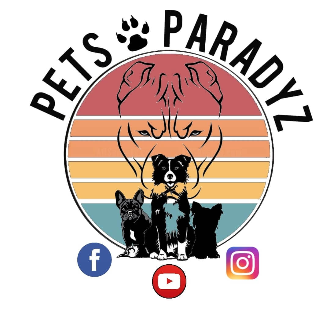 PETS PARADYZ | Ch'amis pour la vie
