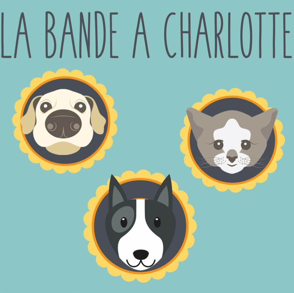 LA BANDE A CHARLOTTE | Ch'amis pour la vie