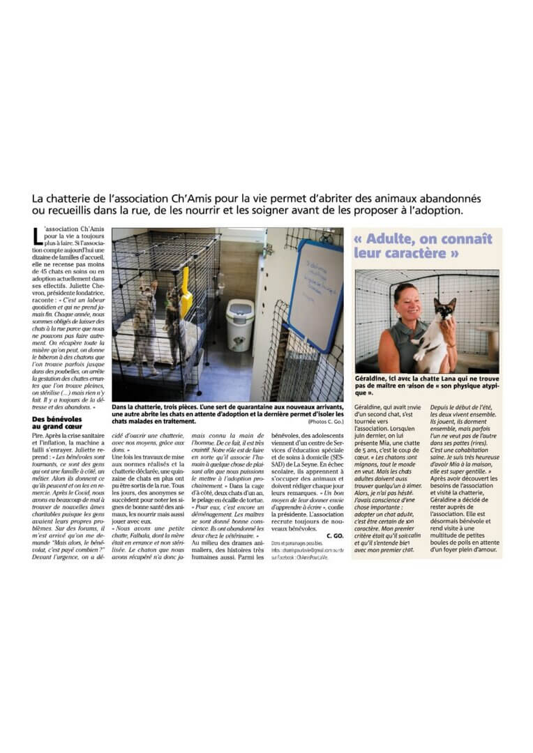 A Six-Fours, des Bénévoles au secours des chats | Ch'amis pour la vie