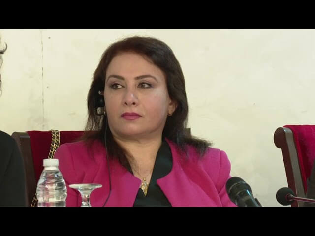 Regional Experts Roundtable Combatting Violence against Women and Girls | EFI - EuroMed Feminist Initiative