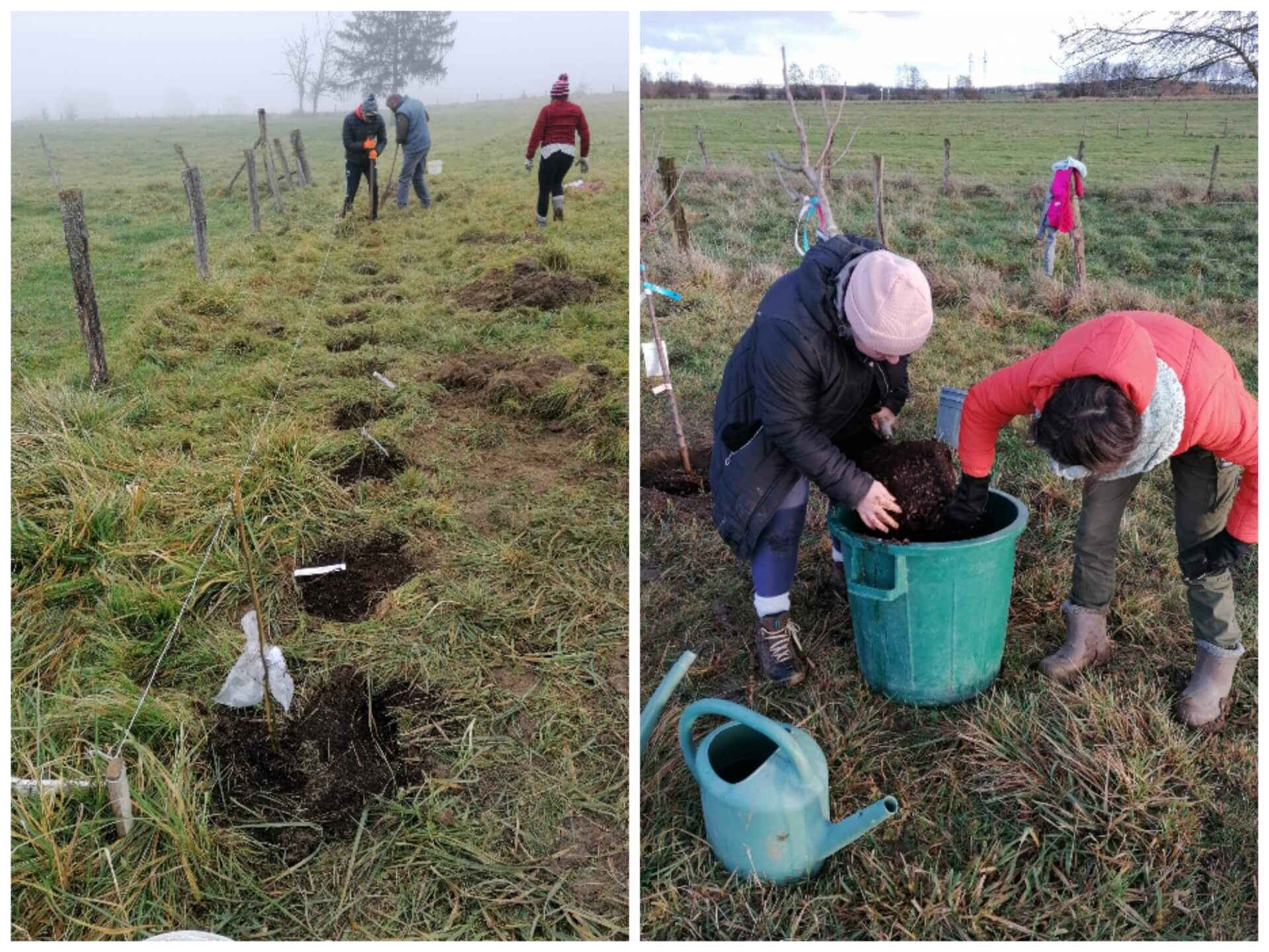 Chantier participatif de plantation de haies | La contrée des minis