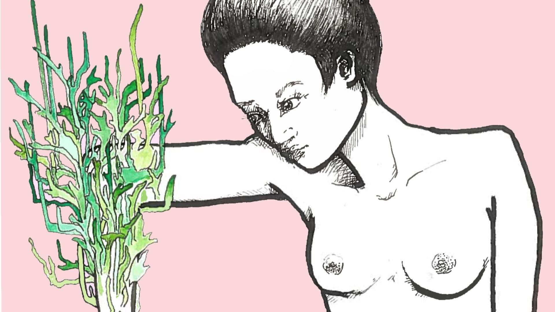 Canaille Illustration