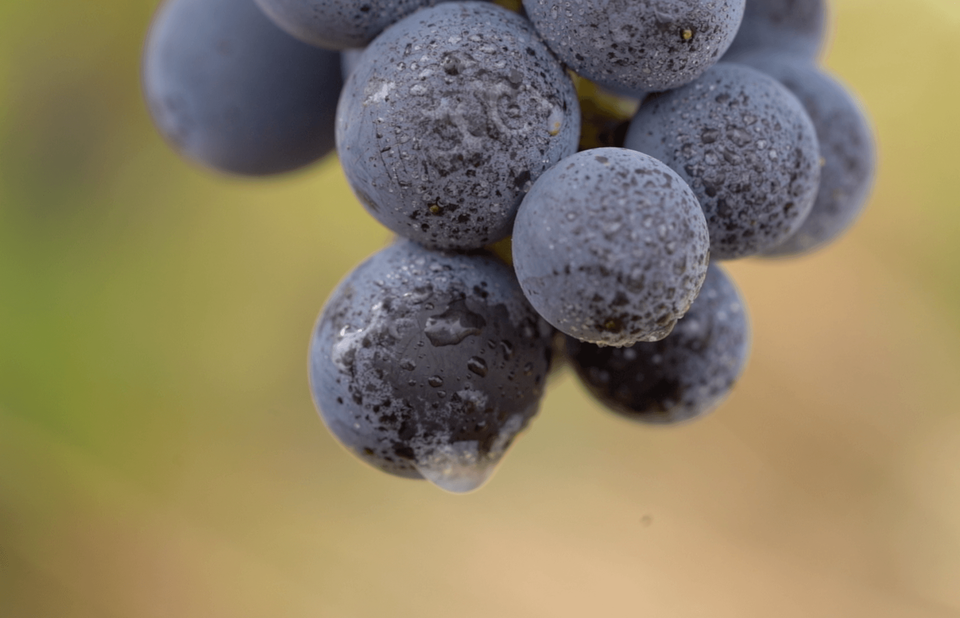 Vidéact’ En mouvement vidéo