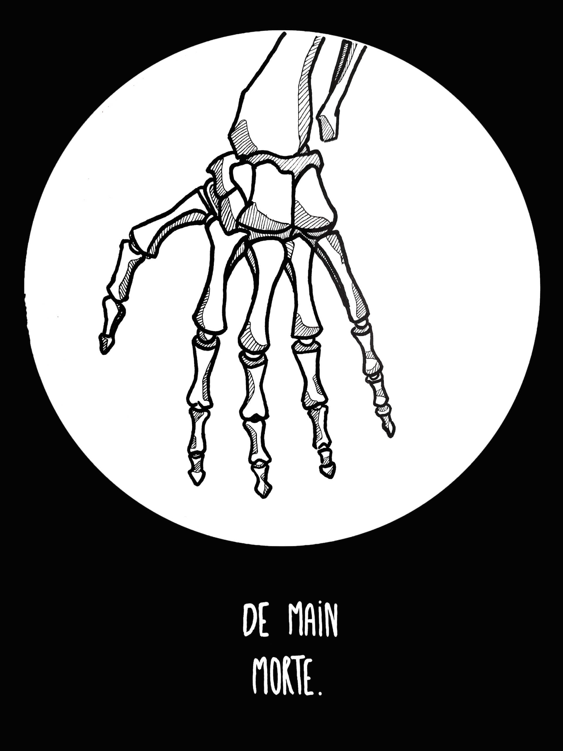 - | Canaille Illustration