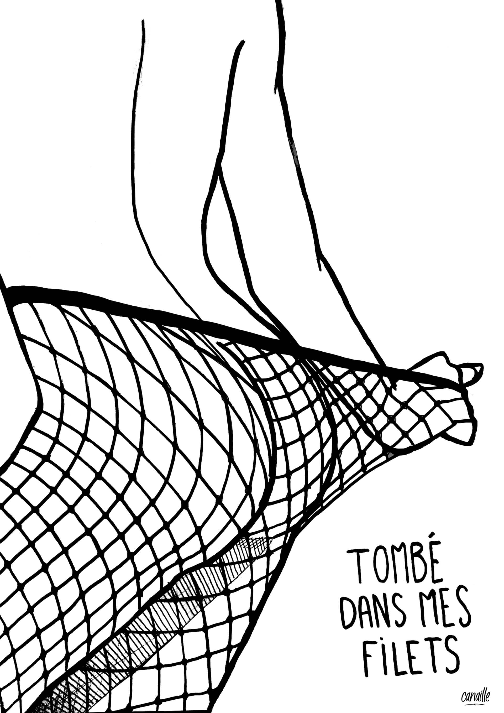 - | Canaille Illustration