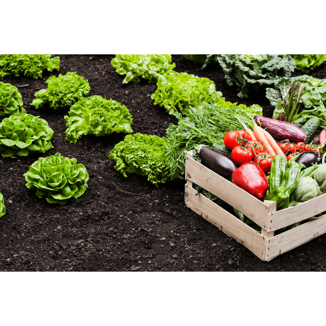 Retour sur l'afterwork des métiers de l'agriculture urbaine | RESES