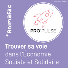 Comment donner du sens à ton parcours dans ta candidature | RESES