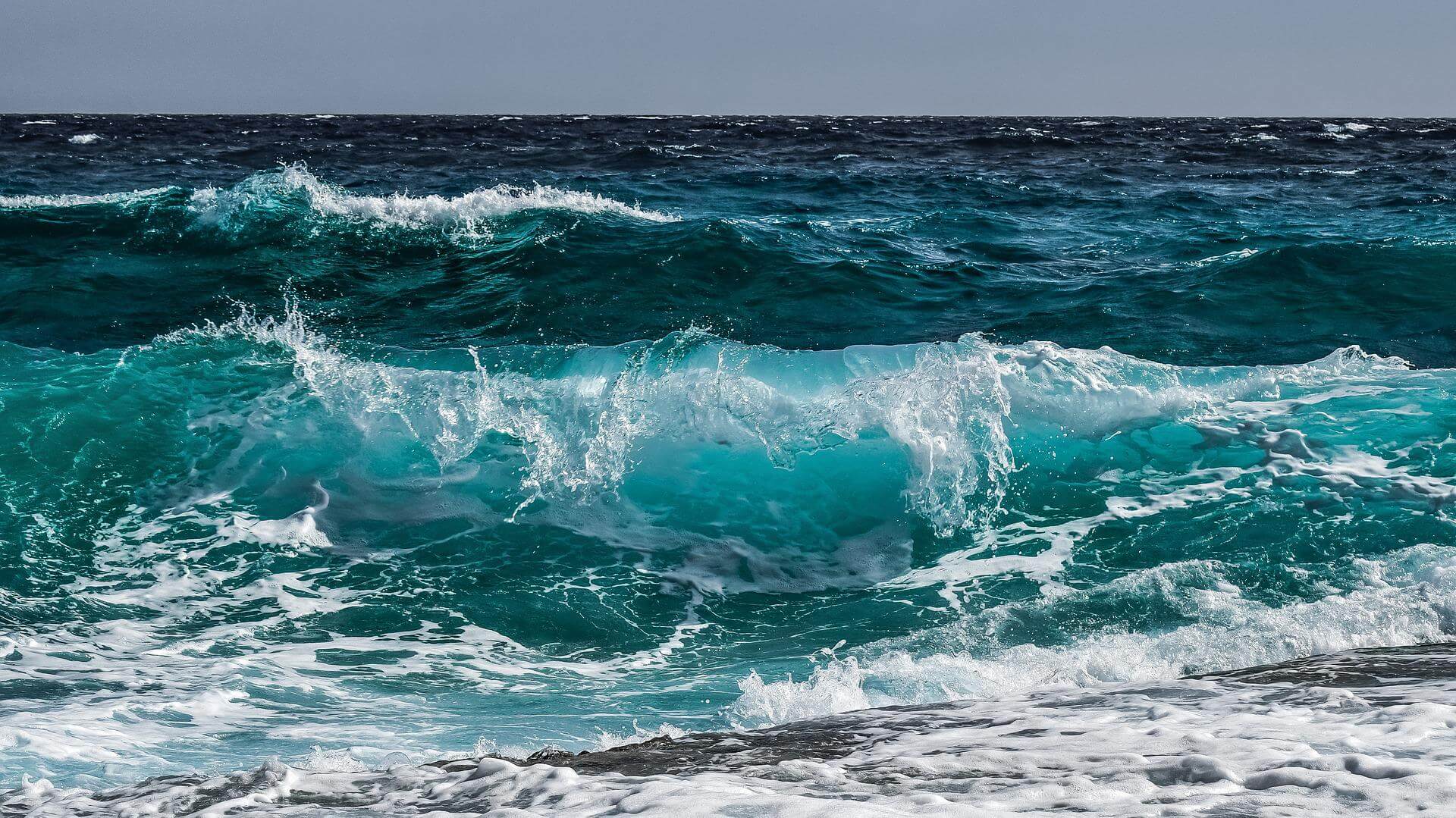 L'acidification des océans, c’est quoi ? | RESES
