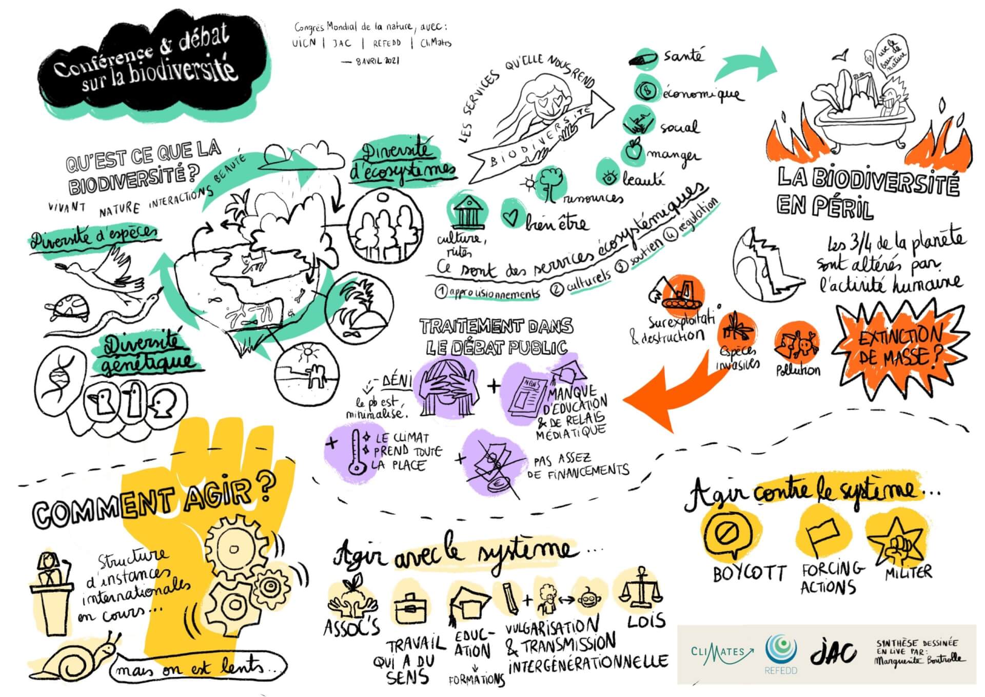 Nos deux ateliers “jeunesse et biodiversité” au sommet mondial de la jeunesse de l'UICN | RESES